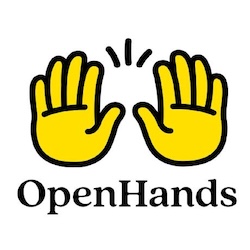 https://github.com/BerriAI/litellm/blob/HEAD/OpenHands