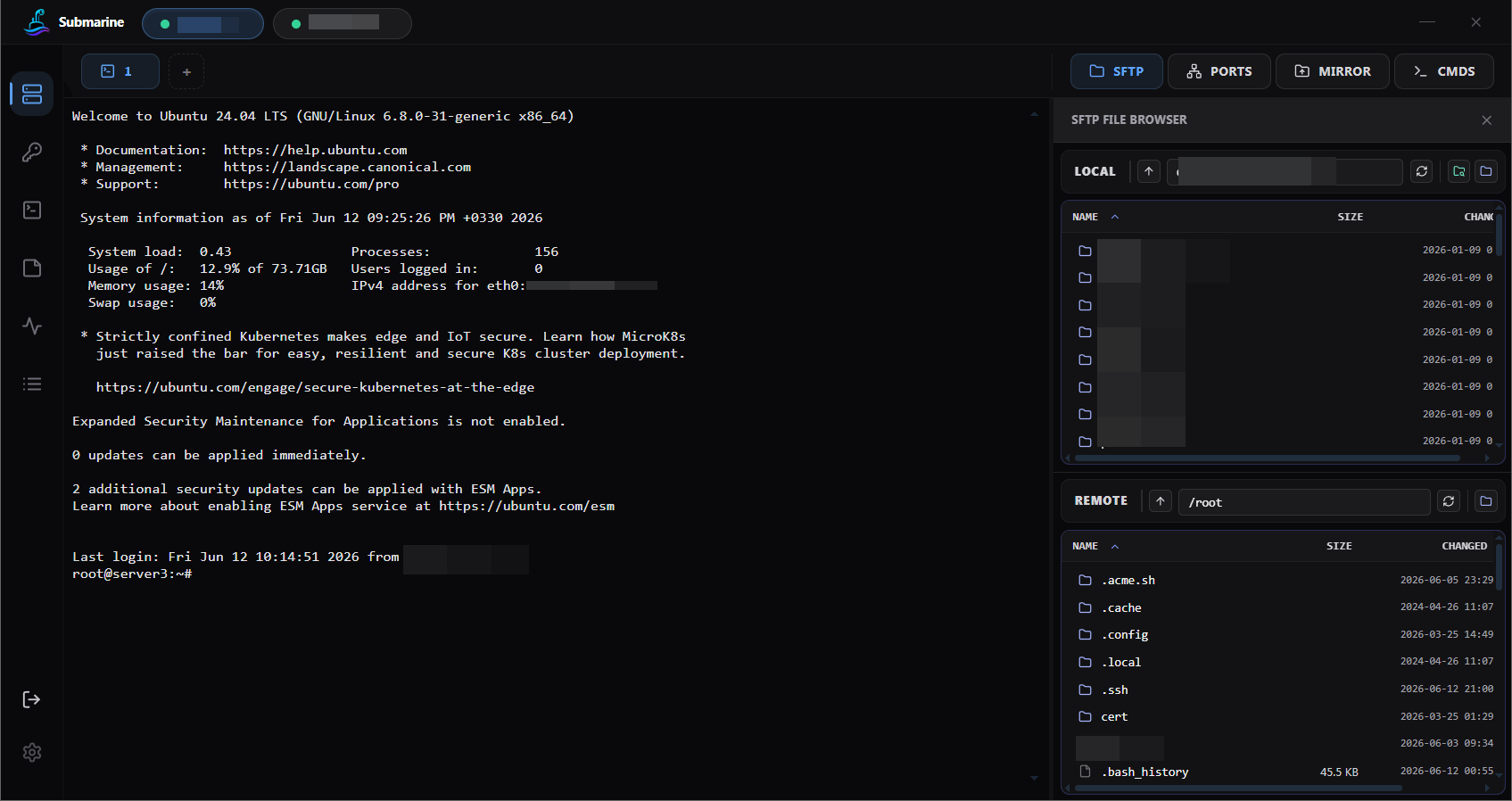 https://github.com/SinaXhpm/Submarine/blob/HEAD/Submarine main window — terminal session with dual-pane SFTP browser open on the right