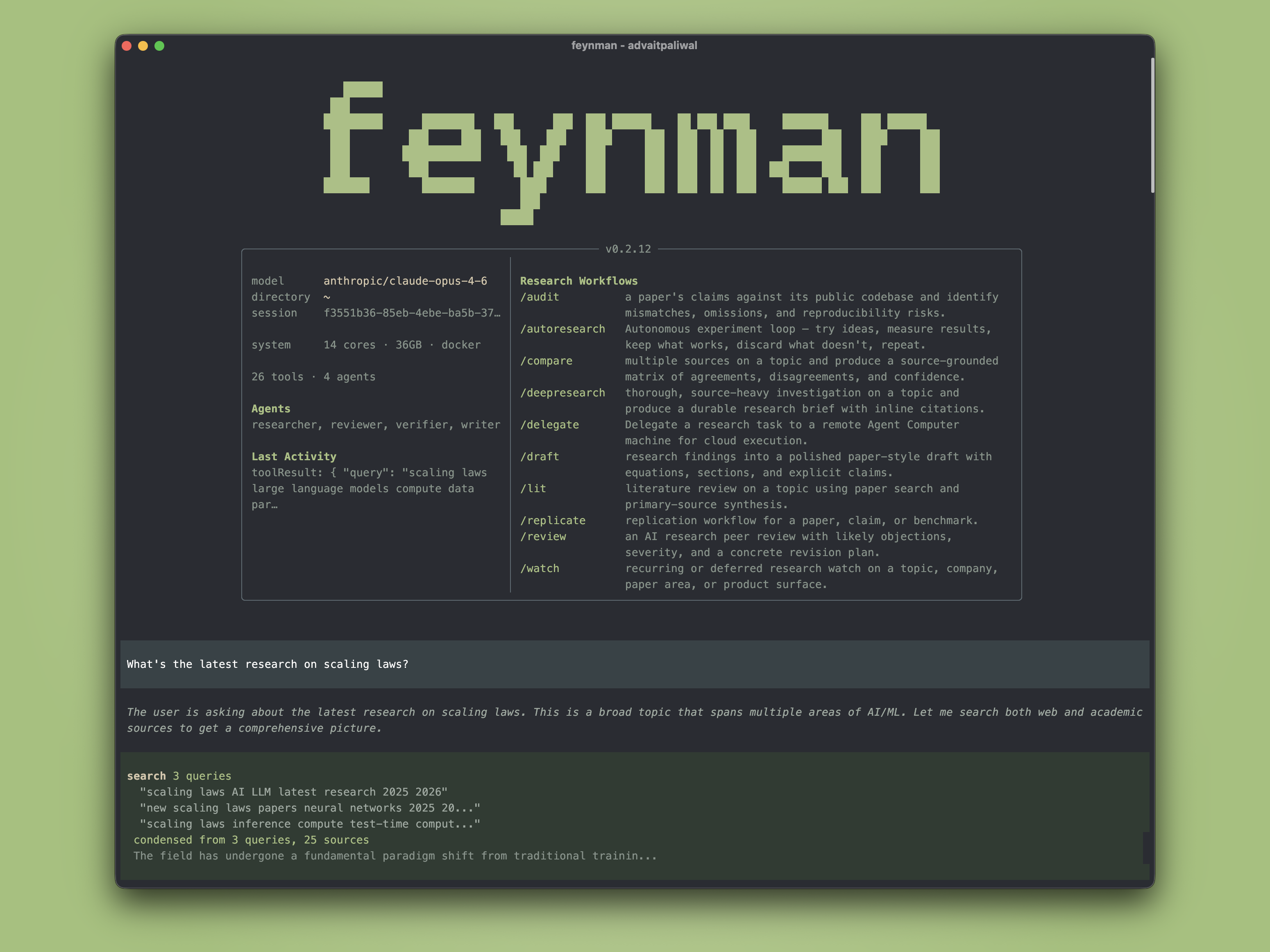 https://github.com/advaitpaliwal/feynman/blob/HEAD/Feynman CLI