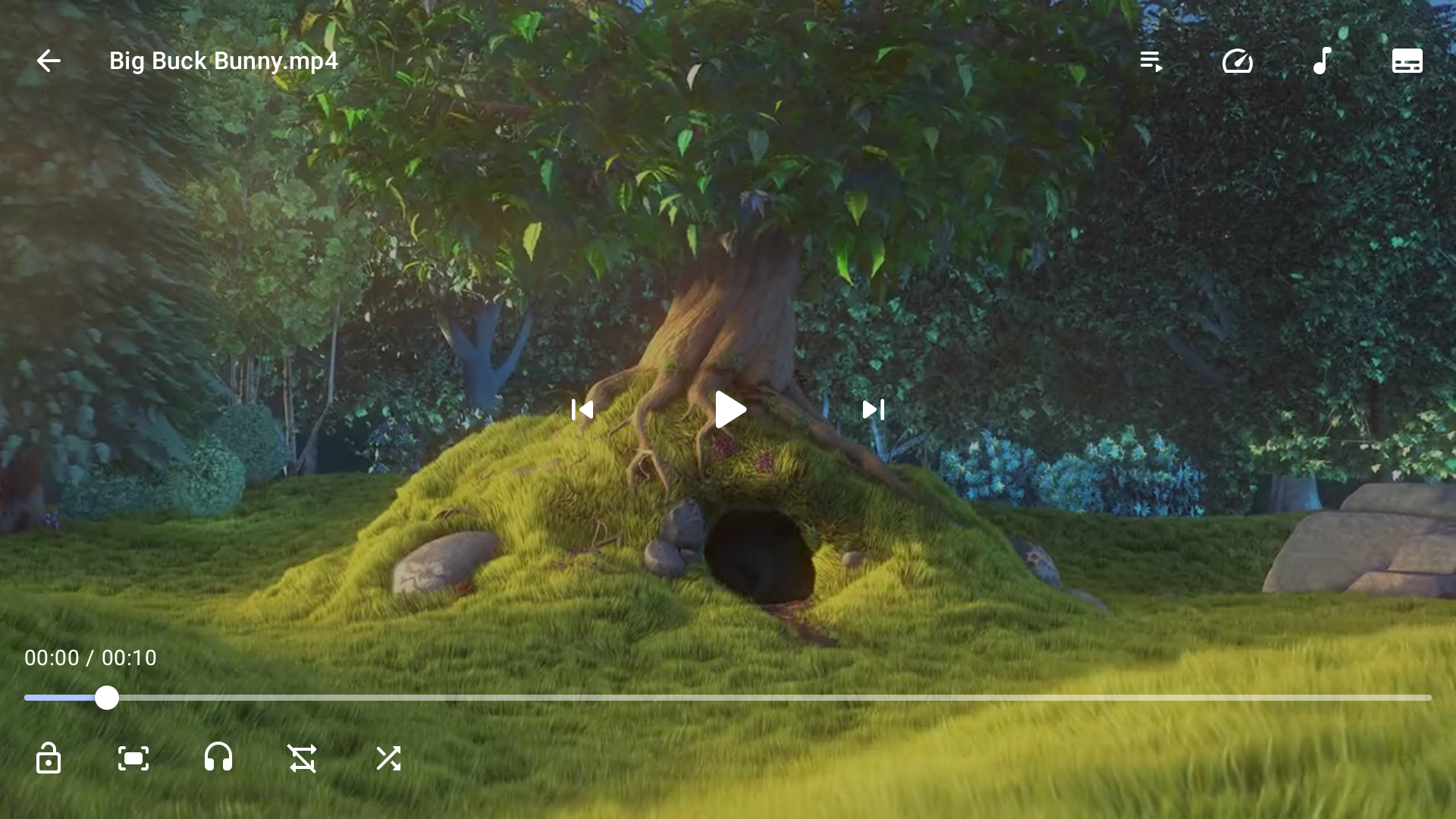https://github.com/anilbeesetti/nextplayer/blob/HEAD/TV player controls