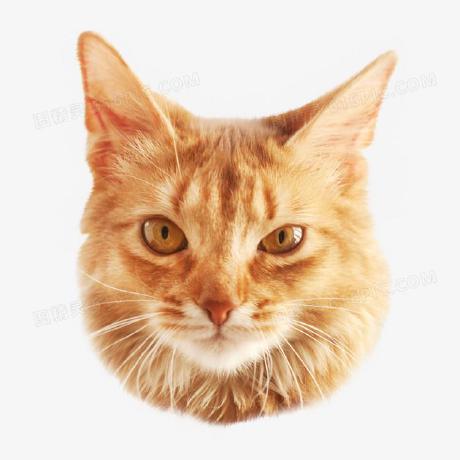 https://github.com/bojieli/ai-agent-book/blob/HEAD/@Rainbow-prince