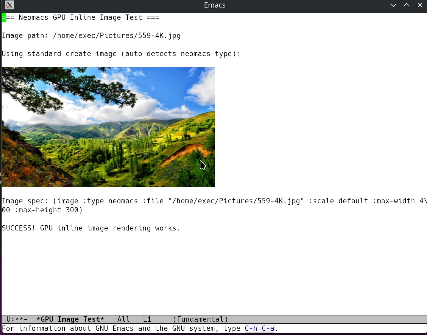 https://github.com/eval-exec/neomacs/blob/HEAD/Inline 4K images in Emacs buffer