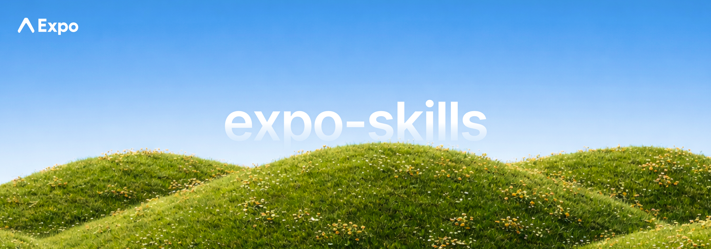 https://github.com/expo/skills/blob/HEAD/Expo Skills