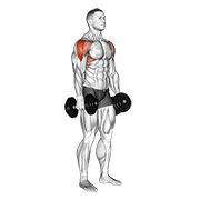 https://github.com/hasaneyldrm/exercises-dataset/blob/HEAD/dumbbell lateral raise