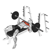 https://github.com/hasaneyldrm/exercises-dataset/blob/HEAD/barbell bench press