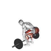 https://github.com/hasaneyldrm/exercises-dataset/blob/HEAD/barbell deadlift