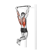 https://github.com/hasaneyldrm/exercises-dataset/blob/HEAD/pull-up