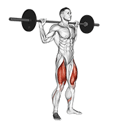 https://github.com/hasaneyldrm/exercises-dataset/blob/HEAD/barbell full squat